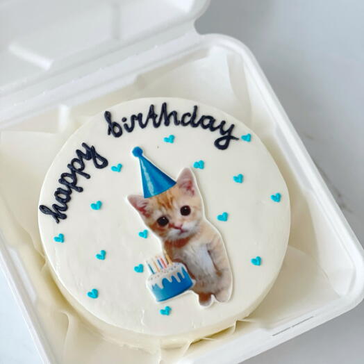 Бенто торт большой с праздничным котиком🎉