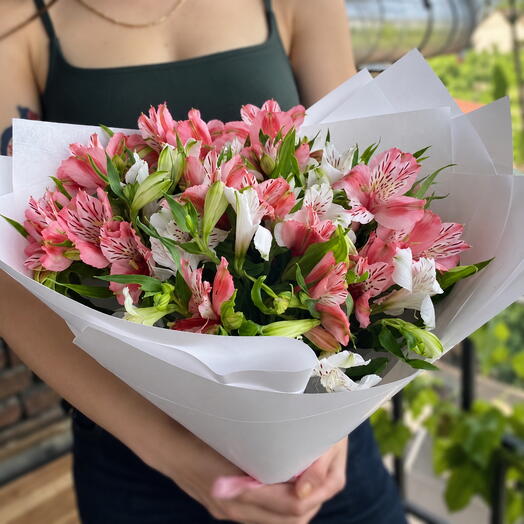 Petals promise|Quiet Elegance