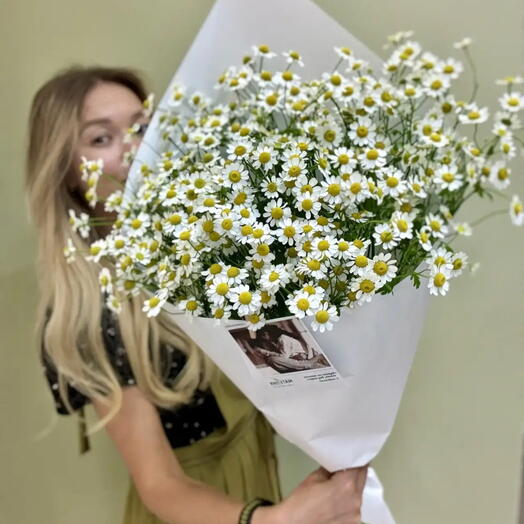 Букет из 9 шт.матрикарии , ромашка Камилла, танацетум