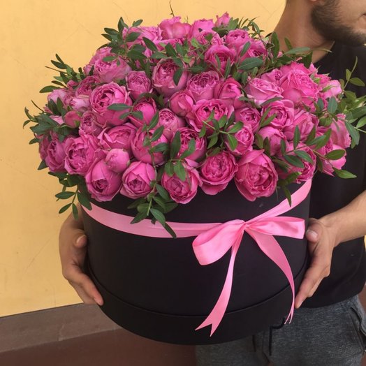Кустовая rosa Misty Bubbles en la caja