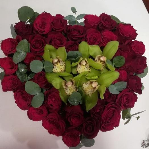 Сердце