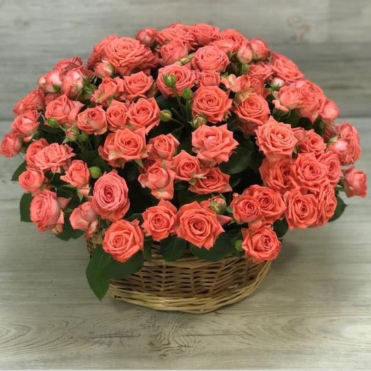 Basket with bush rose
