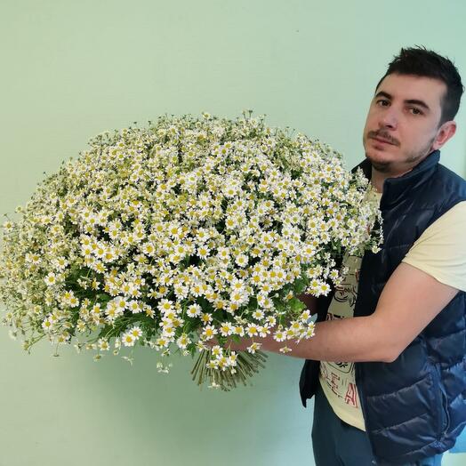 Букет из 101 кустовых ромашек