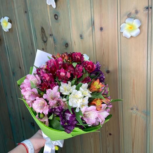Alstroemeria mix