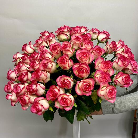 51 Роза 🌹 «Джумилия»