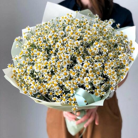 Bouquet with field daisies L