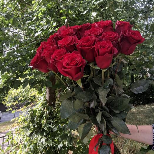 Эквадорская Роза Эксплоер 21 штука