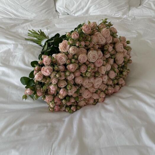 59 rosas arbustivas