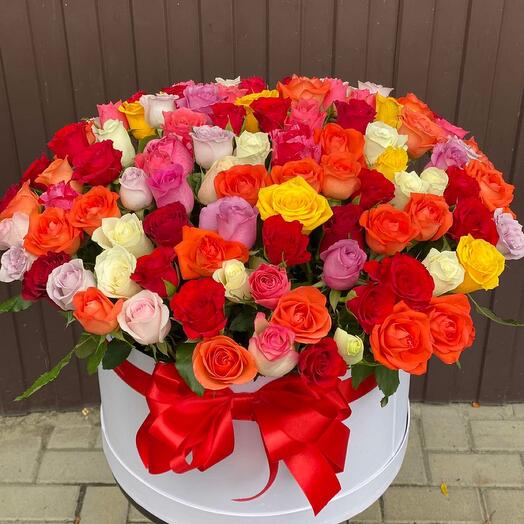 101 rosas en una Caja