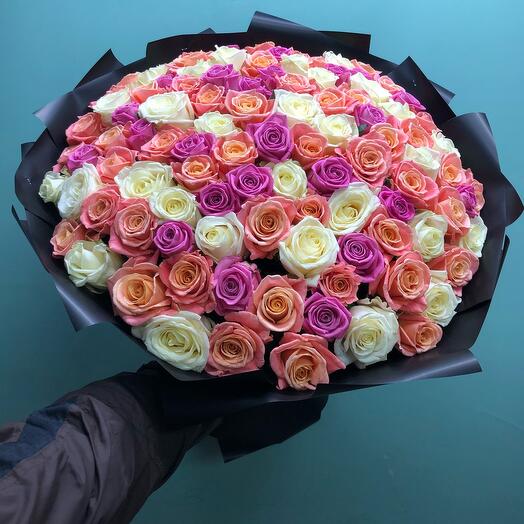 101 rosa