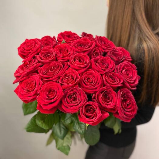 Rosas elegantes🎀