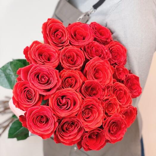 Monobucket of 25 Nina roses
