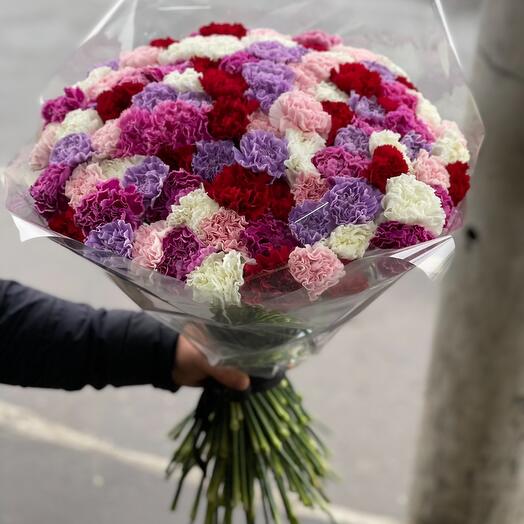Varietal carnations