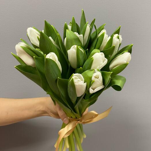 Белые тюльпаны