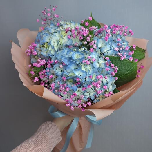 Hydrangea blue
