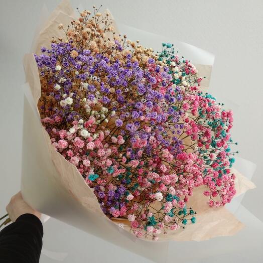 Ramo de gypsophila de color