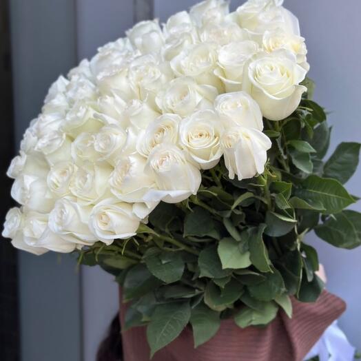 Snow-white roses