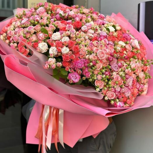 Rosas arbustivas iridiscentes