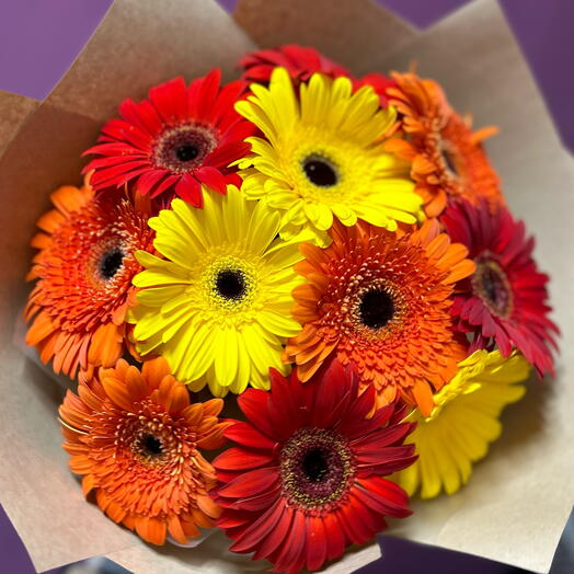 Bright gerberas