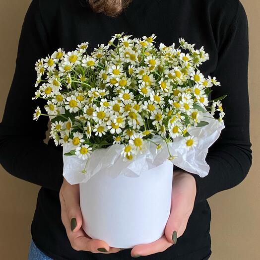 Цветы в коробке Ромашки