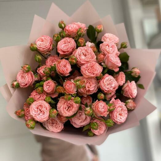 Spray Rose - Tbilisi    OK