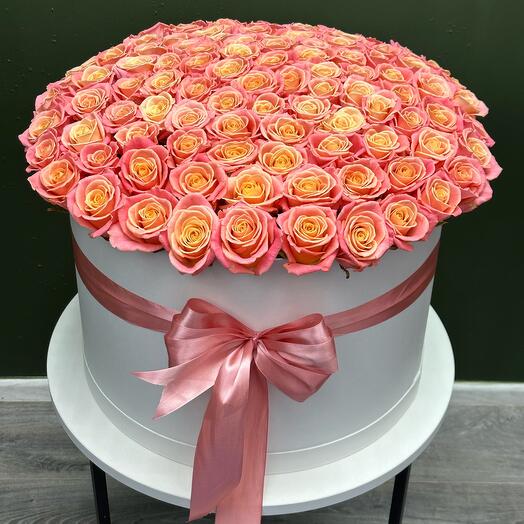 Мисс пигги в коробке)
