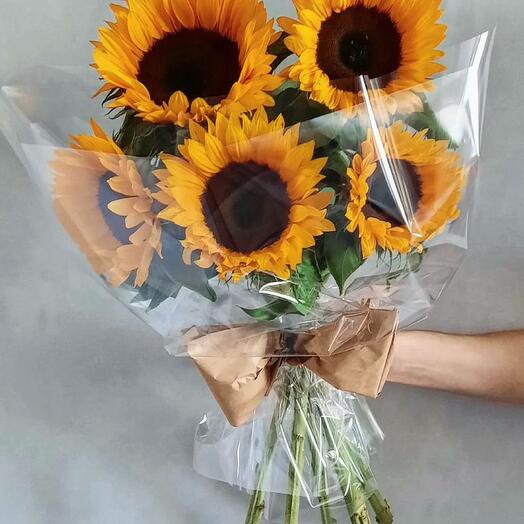 SUNFLOWER  BQT