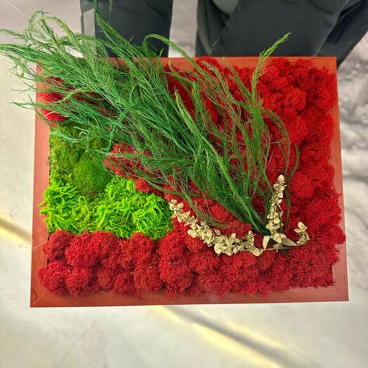 Фитокартина «Red Abstract»