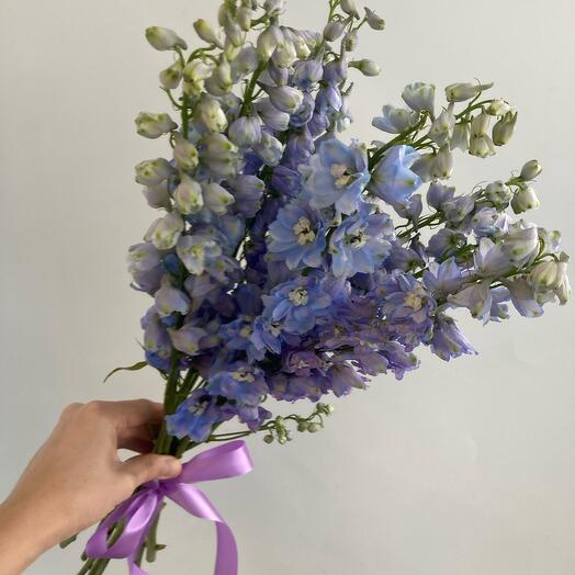 Букет из 9 дильфиниумов