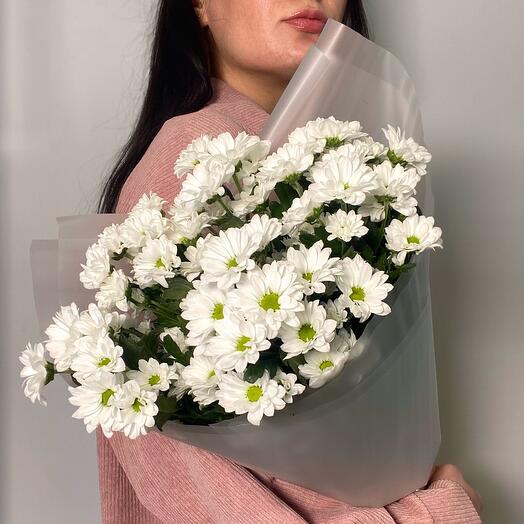 Букет ромашковых хризантем (7 штук)