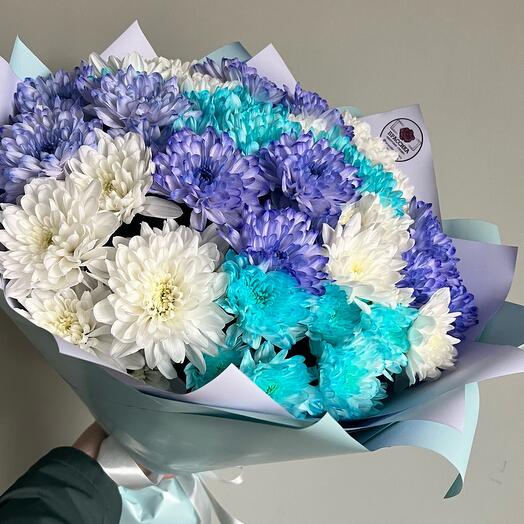 Северное сияние хризантем