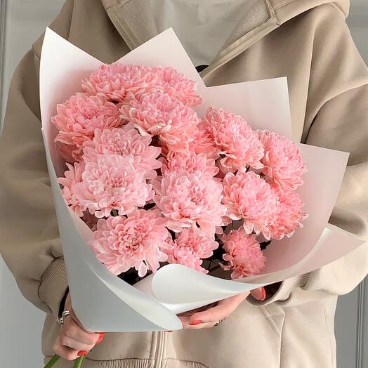Хризантема персиково-розовая 🌸