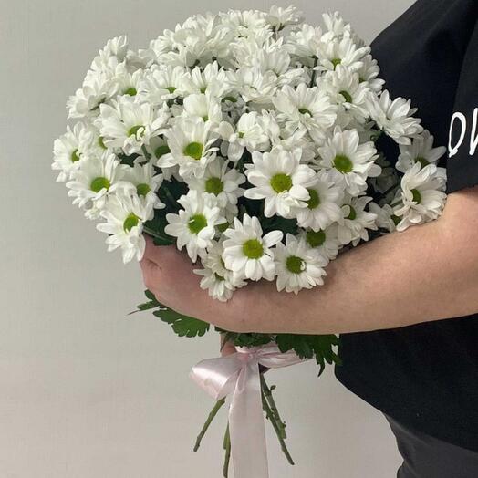 Букет ромашковых хризантем 7шт