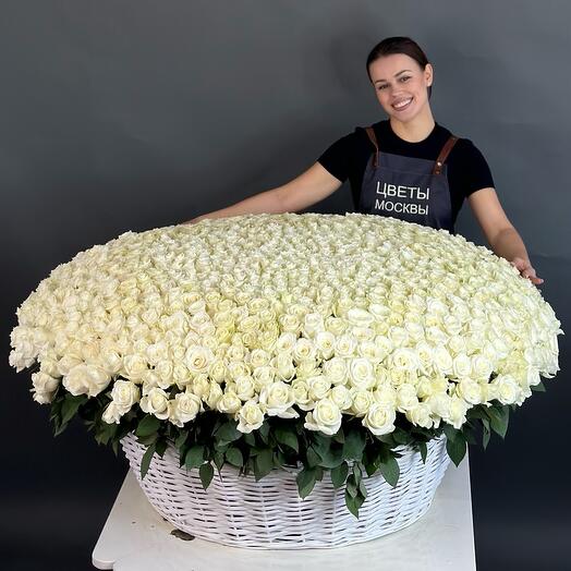 1001 роза белая
