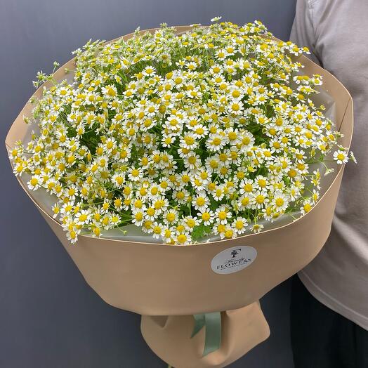 Bouquet of daisies
