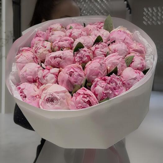31 пион