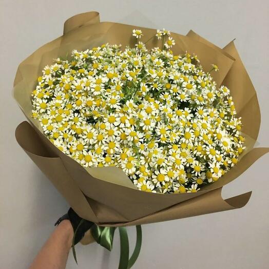 Букет ромашек