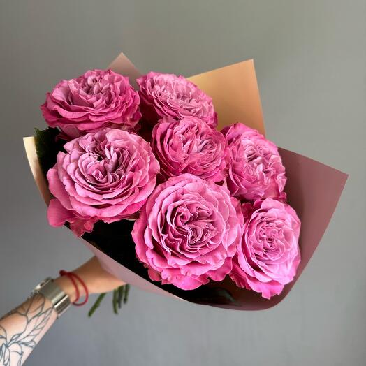 Raspberry rose peony-shaped peony