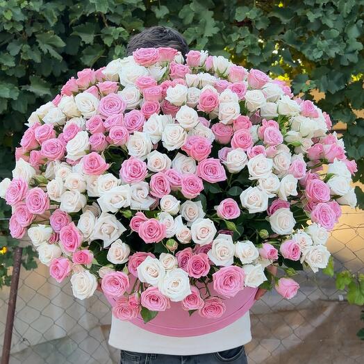 White and Pink rose in box