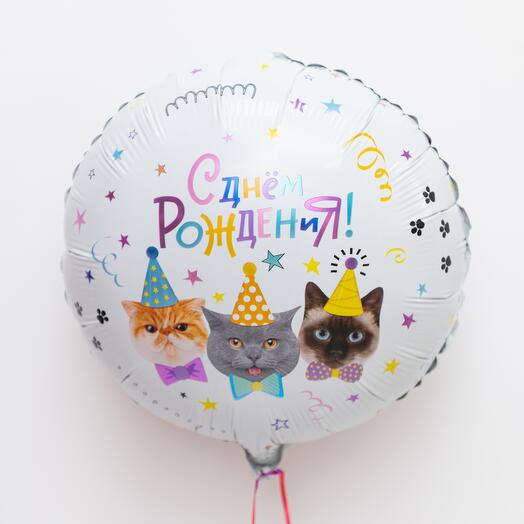 Воздушный шар на день рождения "Веселые коты в колпачках