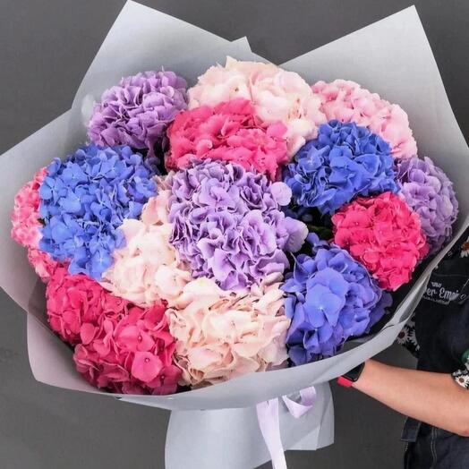 Микс из 15 гортензий
