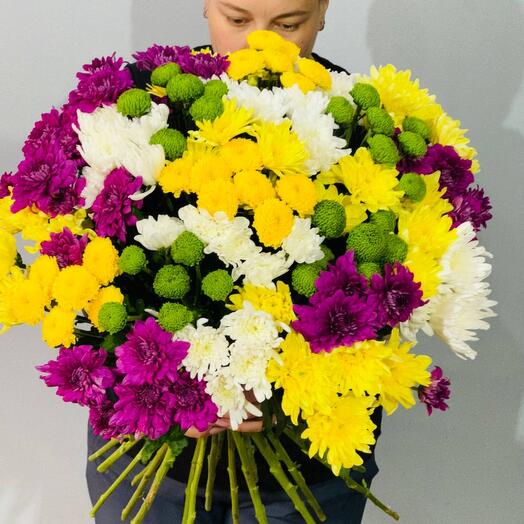 Букет разноцветных кустовых хризантем в букете без упаковки