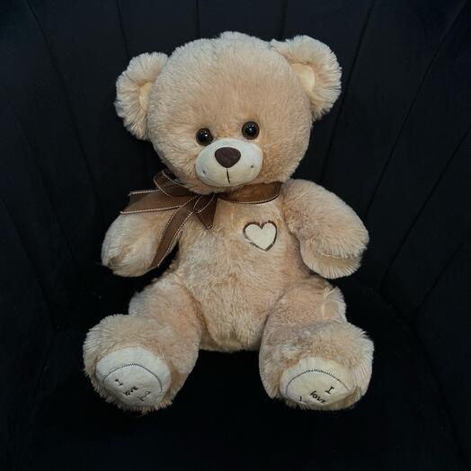 Teddy bear 2
