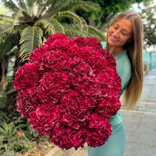 Ramo de hortensia granate 30