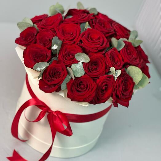 25 Eucalyptus roses in a box