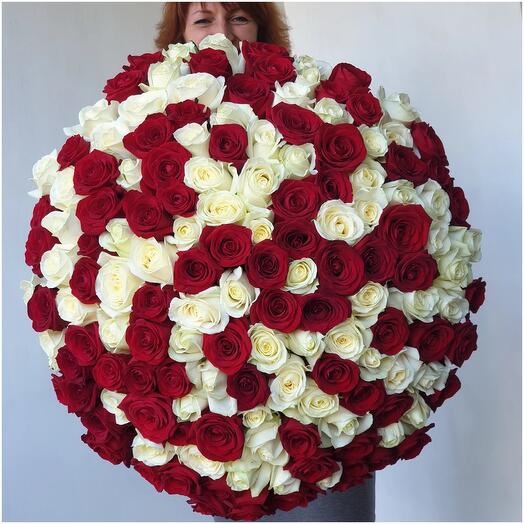 101 Роза 🌹