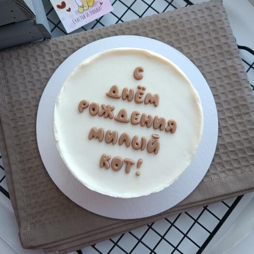 Бенто с днём рождения кот