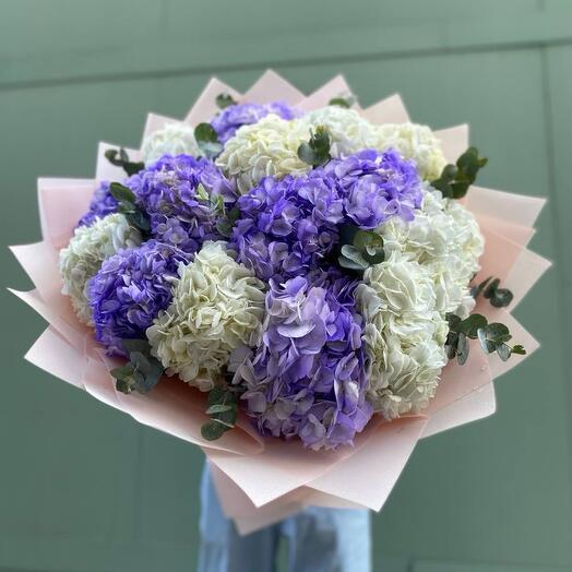 Шикарная гортензия