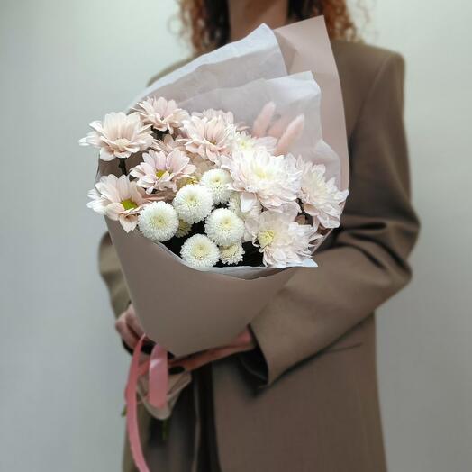 A compliment from Chrysanthemums