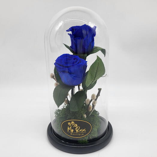 Twin Blue Forever Roses (Medium)